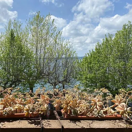 Appartamento Luce Del Lago *